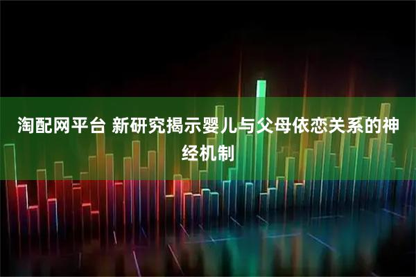 淘配网平台 新研究揭示婴儿与父母依恋关系的神经机制