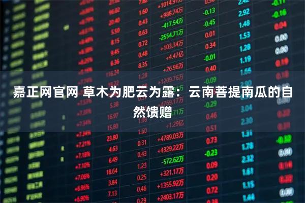 嘉正网官网 草木为肥云为露：云南菩提南瓜的自然馈赠