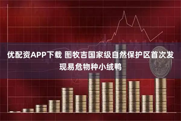优配资APP下载 图牧吉国家级自然保护区首次发现易危物种小绒鸭