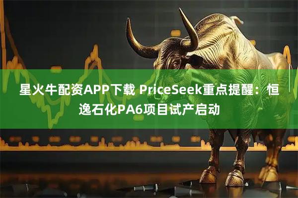 星火牛配资APP下载 PriceSeek重点提醒：恒逸石化PA6项目试产启动