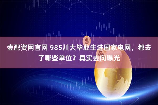 壹配资网官网 985川大毕业生进国家电网，都去了哪些单位？真实去向曝光
